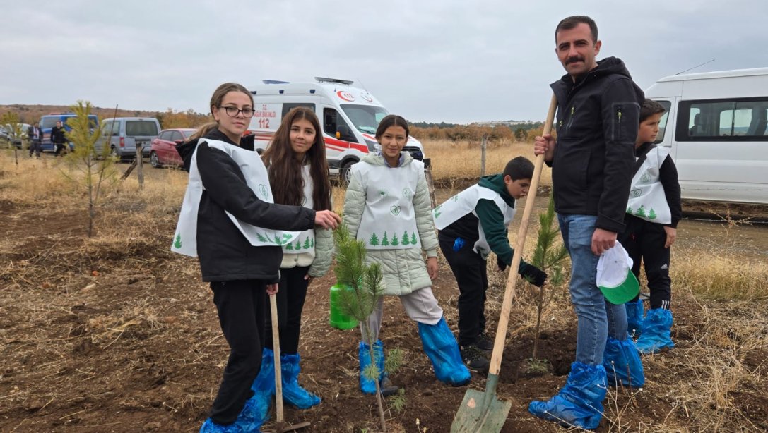 11.11.2024 Ağaç Dikme Etkinliği